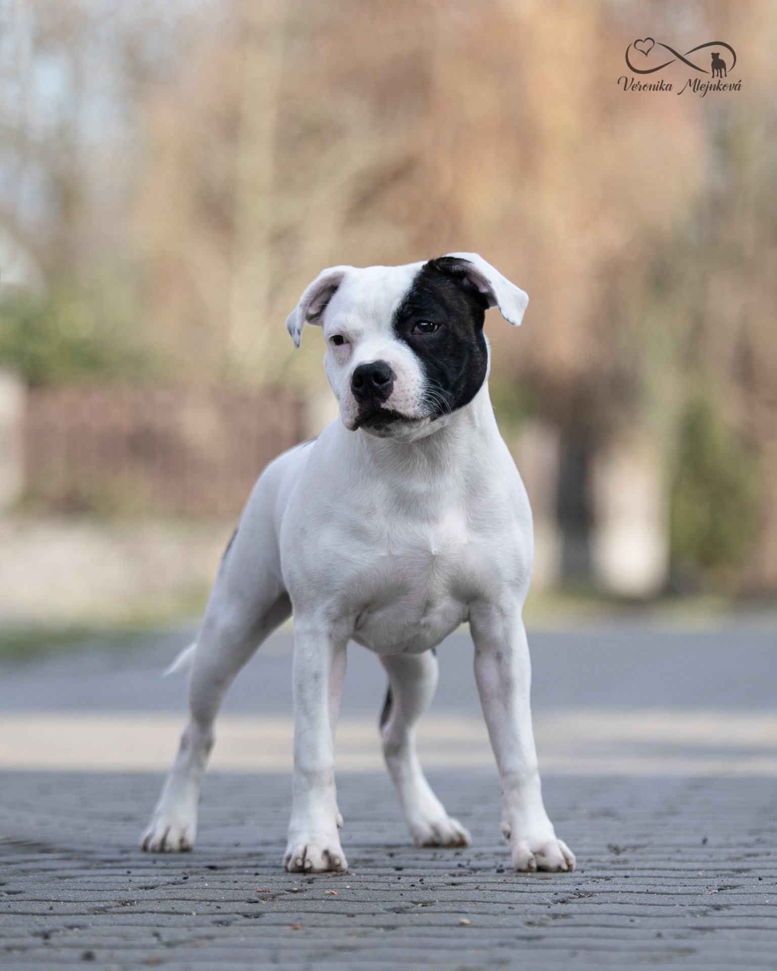 Oliver - Got The Look My Divines